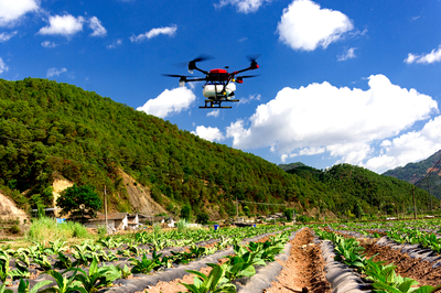 技術(shù)推‘新’煙田增‘綠’ 科技賦能煙草農(nóng)業(yè)可持續(xù)發(fā)展