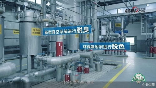 央視網(wǎng)走進(jìn)多力安心工廠 探尋降低油煙技術(shù)專利奧秘，見(jiàn)證健康廚房技術(shù)推廣